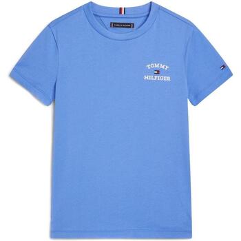 Vêtements Garçon T-shirts & Polos Tommy capuche Hilfiger  Bleu