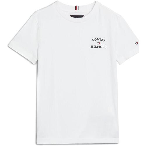 Vêtements Garçon T-shirts & Polos Tommy capuche Hilfiger  Blanc