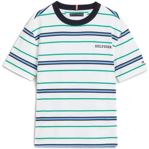 Vêtements Garçon T-shirts & Polos Tommy Hilfiger  Vert
