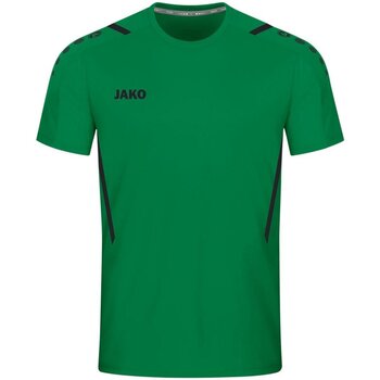 Vêtements Homme T-shirts & Polos Jako  Vert
