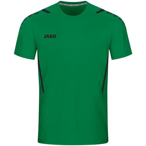Vêtements Homme T-shirts & Polos Jako  Vert