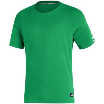 Vêtements Homme T-shirts manches courtes adidas Originals  Vert