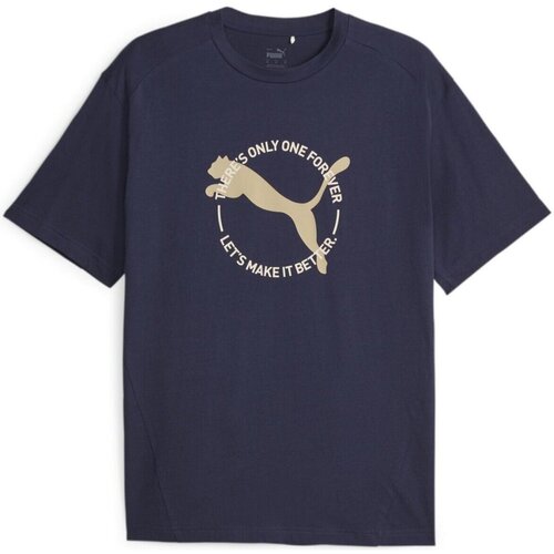 Vêtements Homme T-shirts manches courtes Puma  Bleu