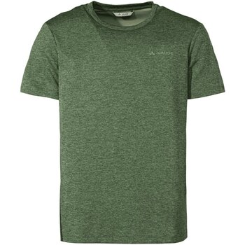 Vêtements Homme T-shirts manches courtes Vaude  Vert