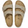 Chaussures Sandales et Nu-pieds Birkenstock Arizona bf Vert