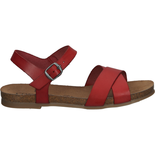 Chaussures Femme Sandales et Nu-pieds Cosmos Comfort Sandales Rouge