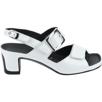 Chaussures Femme Sandales et Nu-pieds Vital Sandales Blanc