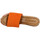 Chaussures Femme Sandales et Nu-pieds Sandro Rosi 2411 Velours Femme Arancio Orange