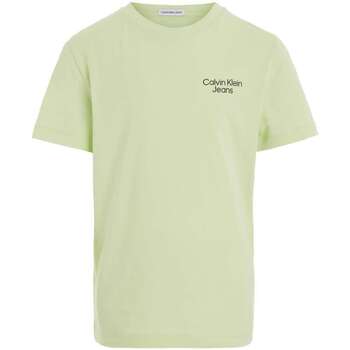 Vêtements Garçon T-shirts manches courtes Calvin Klein pour JEANS 160887VTPE24 Vert