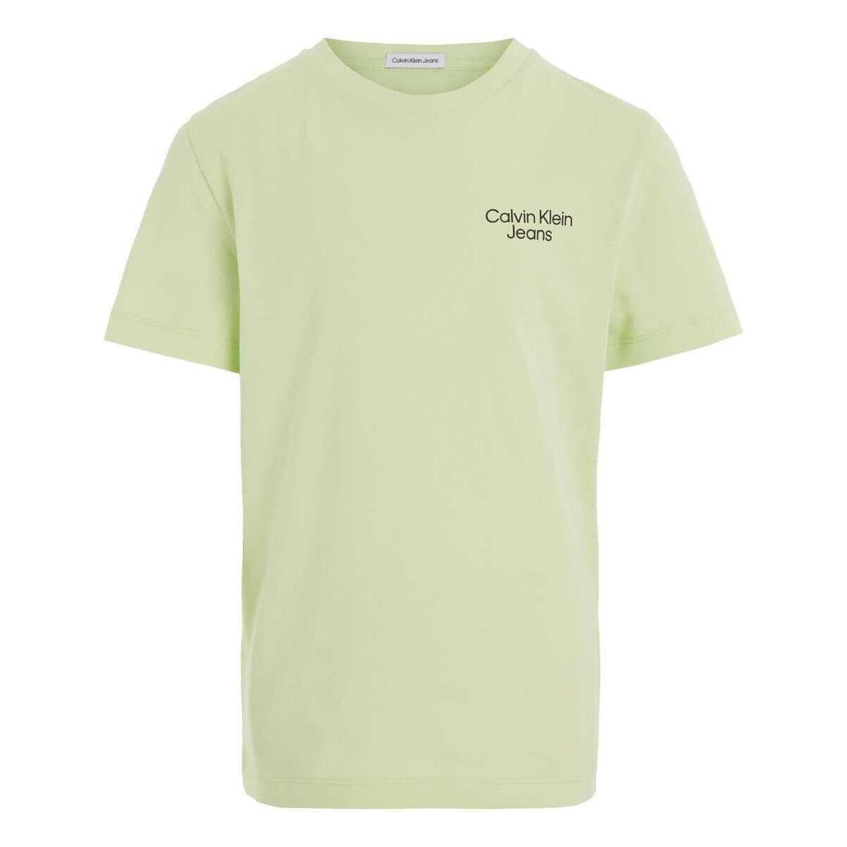 Vêtements Garçon T-shirts manches courtes Calvin Klein Jeans 160887VTPE24 Vert