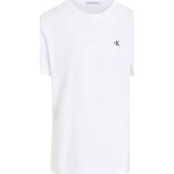 Vêtements Garçon T-shirts manches courtes Calvin Klein Jeans 160890VTPE24 Blanc