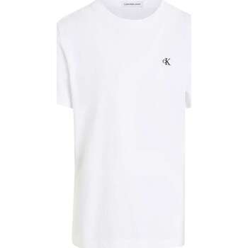 Vêtements Garçon T-shirts manches courtes Calvin Klein Jeans 160890VTPE24 Blanc