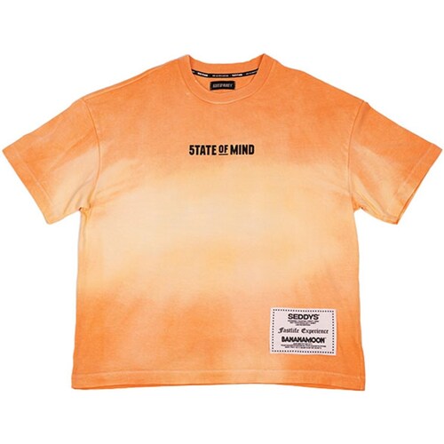 Vêtements T-shirts manches courtes 5Tate Of Mind ORANGE Orange