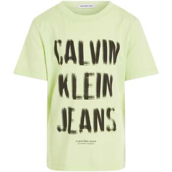 Vêtements Garçon T-shirts manches courtes Calvin Klein JEANS Compression 160894VTPE24 Vert
