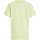 Vêtements Garçon T-shirts manches courtes Calvin Klein Jeans 160894VTPE24 Vert