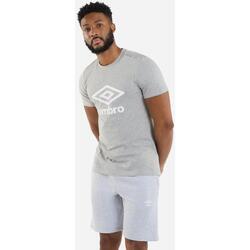 Vêtements Homme T-shirts manches longues Umbro UO2075 Gris