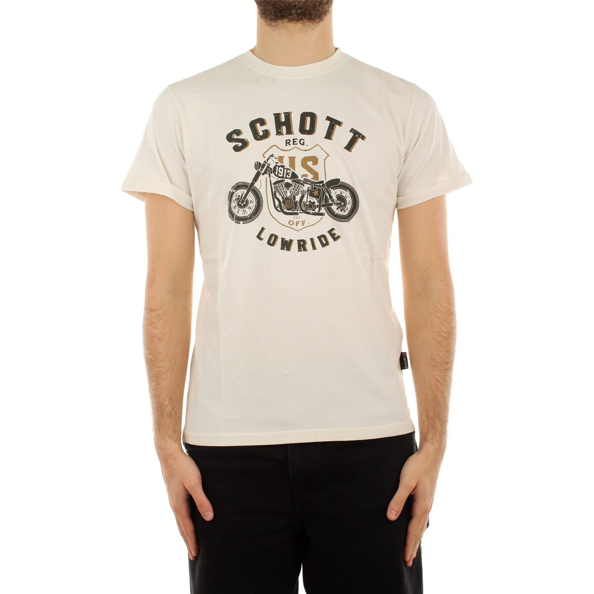 Vêtements Homme T-shirts manches courtes Schott TSARON Autres