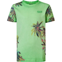 Vêtements Homme T-shirts & Polos Petrol Industries T-Shirt  Botanique Palmier Vert Vert