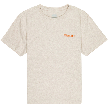 Vêtements Garçon T-shirts manches courtes Element Smokey Bear x  Forest Future Blanc