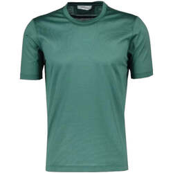 Vêtements Homme T-shirts & Polos Gran Sasso  Vert