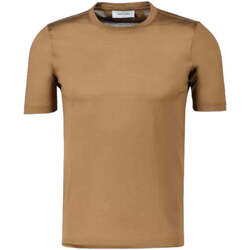Vêtements Homme T-shirts & Polos Gran Sasso  Marron