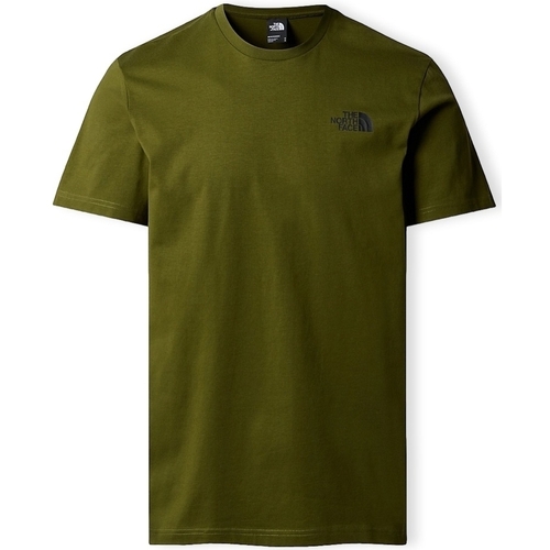Vêtements Homme T-shirts & Polos The North Face Redbox Celebration T-Shirt - Forest Olive Vert