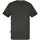 Vêtements Homme T-shirts manches courtes Schott 162519VTPE24 Noir