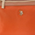 Sacs Femme Sacs porté épaule U.S Polo Assn. BIUHU4920WIP-ORANGE Orange