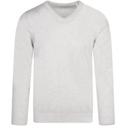 Vêtements Homme Pulls Teddy Smith Pull coton col v Beige