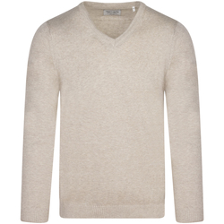 Vêtements Homme Pulls Teddy Smith Pull coton col v Beige