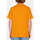 Vêtements Homme T-shirts manches courtes Volcom Camiseta  Justin Hager In Type SS - Saffron Orange