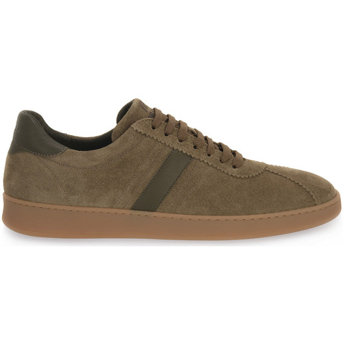 Chaussures Homme Baskets mode Frau SUEDE PLANET Beige