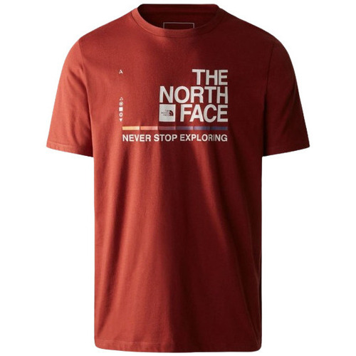 Vêtements Homme T-shirts & Polos The North Face TEE SHIRT FOUNDATION GRAPHIC - BRANDY BROWN - L Multicolore