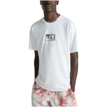 Vêtements Homme T-shirts manches courtes Vans  Blanc