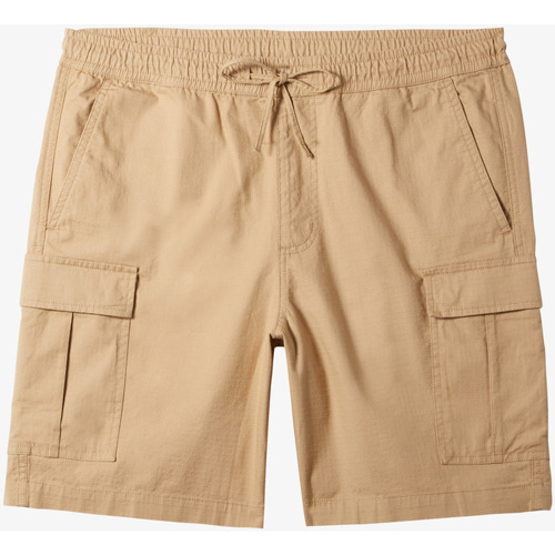 Vêtements Homme Shorts / Bermudas Quiksilver Taxer Cargo Marron