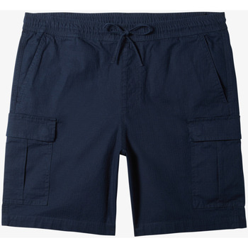 Vêtements Homme canal Shorts / Bermudas Quiksilver Taxer Cargo Noir