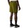 Vêtements Homme Shorts / Bermudas The North Face NF0A86QJ3X41 Autres