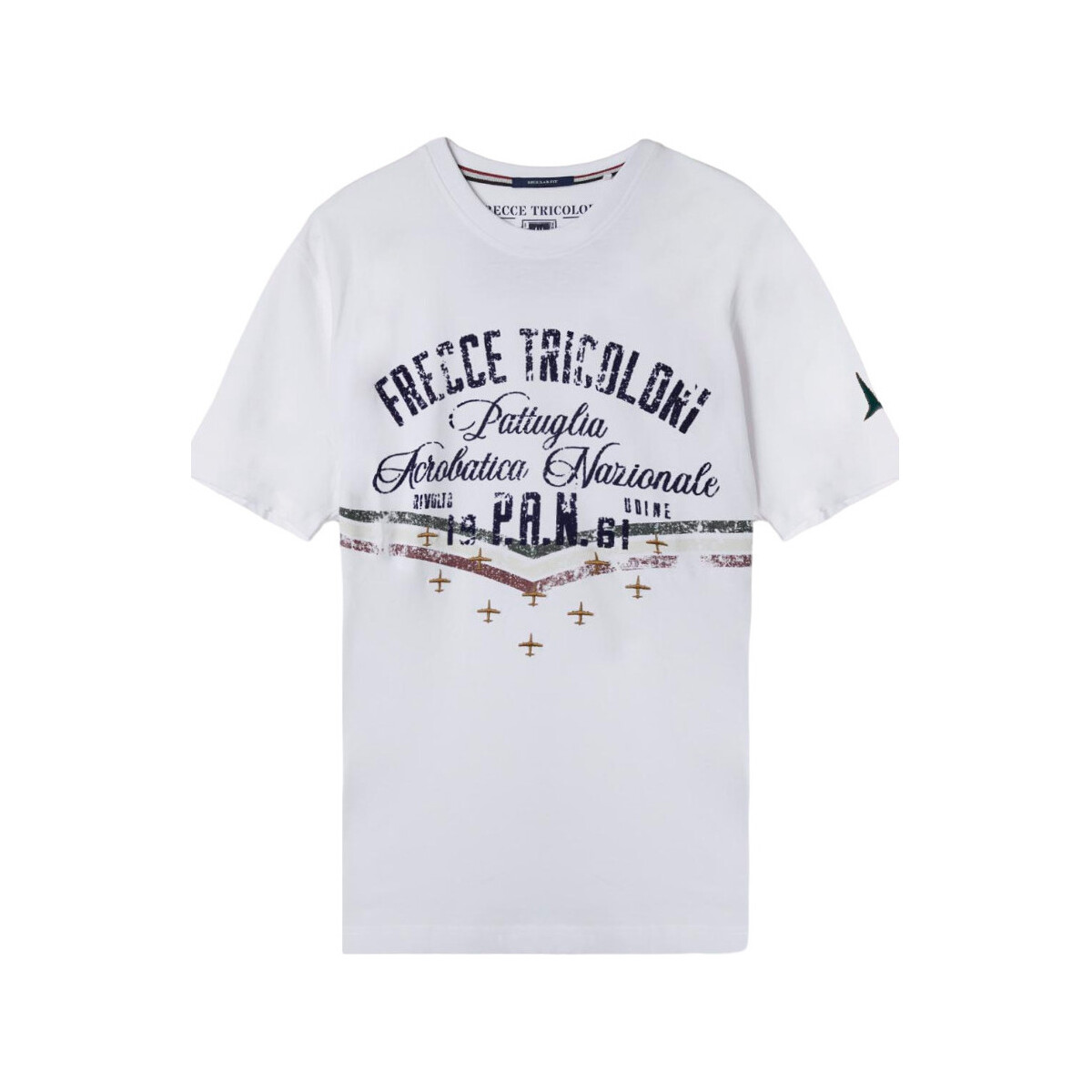 Vêtements Homme T-shirts manches courtes Aeronautica Militare TS2216J641 73092