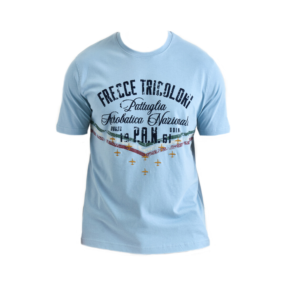 Vêtements Homme T-shirts manches courtes Aeronautica Militare TS2216J641 21286