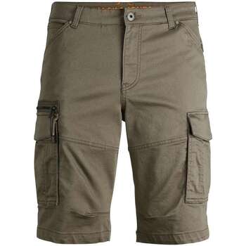 Vêtements Homme Shorts DRESS / Bermudas Jack & Jones 146669VTPE24 Vert