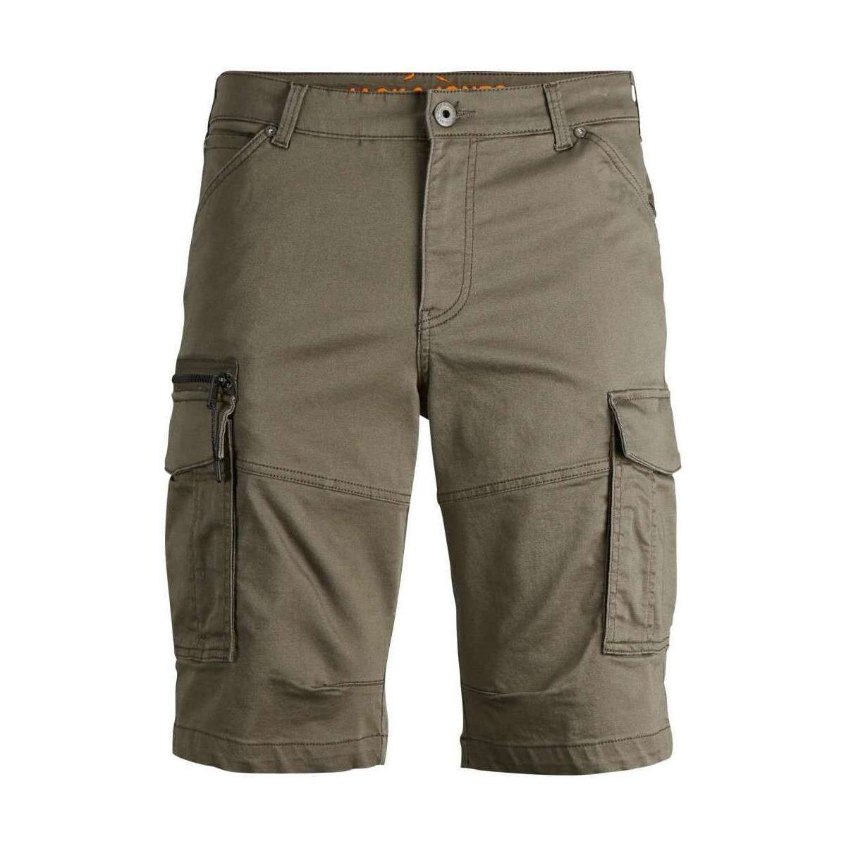 Vêtements Homme Shorts / Bermudas Jack & Jones 146669VTPE24 Vert