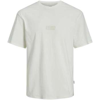 Vêtements Homme T-shirts manches courtes Jack & Jones 161477VTPE24 Beige
