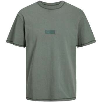 Vêtements Homme T-shirts manches courtes Jack & Jones 161478VTPE24 Kaki