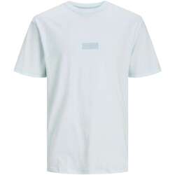 Vêtements Homme T-shirts manches courtes Jack & Jones 161479VTPE24 Bleu