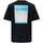 Vêtements Homme T-shirts manches courtes Only&sons 162298VTPE24 Noir