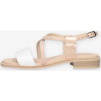 Chaussures Femme Sandales et Nu-pieds NeroGiardini E410462D-707 Blanc