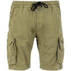Vêtements Homme Shorts / Bermudas Alpha bermuda cargo green Vert