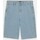 Vêtements Homme Shorts / Bermudas Dickies  Bleu