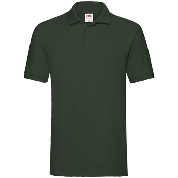 Vêtements Homme T-shirts & Polos Fruit Of The Loom Premium Vert