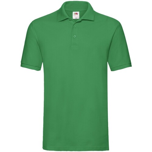 Vêtements Homme T-shirts & Polos Fruit Of The Loom Premium Vert